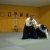 aikido